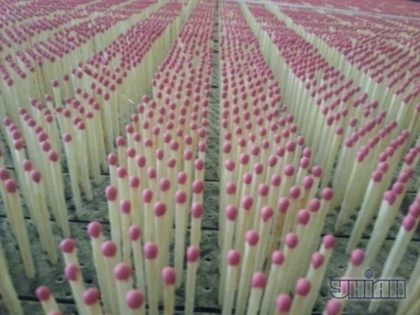 Фотоекскурсія Рівненською сірниковою фабрикою