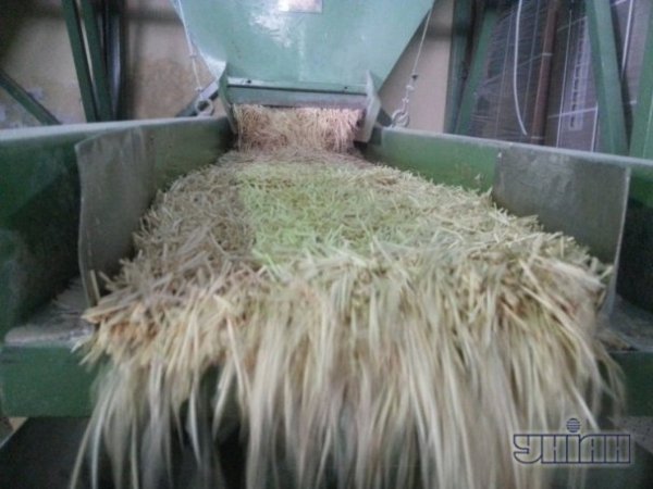 Фотоекскурсія Рівненською сірниковою фабрикою