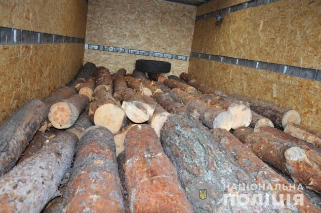 У волинському селі затримали вантажівку з незаконною деревиною