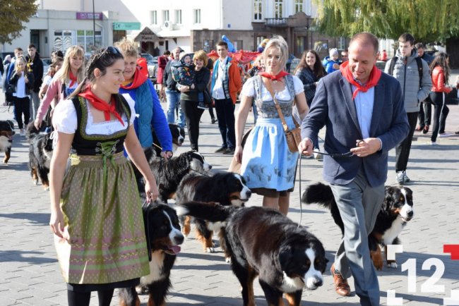 У Луцьку влаштували перший в Європі парад-фестиваль бернських зенненхундів. ФОТО