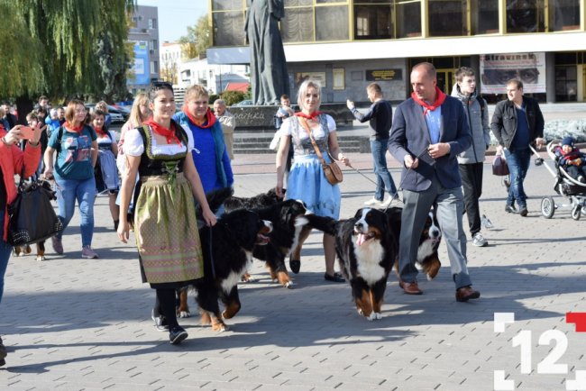 У Луцьку влаштували перший в Європі парад-фестиваль бернських зенненхундів. ФОТО