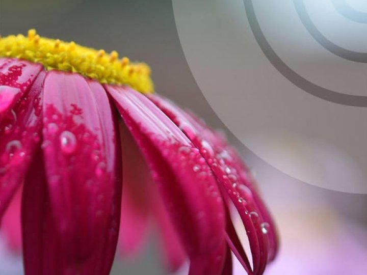 Якою буде погода у Луцьку та на Волині у понеділок, 26 травня