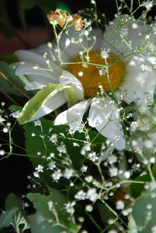 Як у луцькому храмі святкували Трійцю. ФОТО