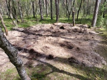 У Польщі знайшли боєголовку від російської ракети, що впала на території країни у грудні