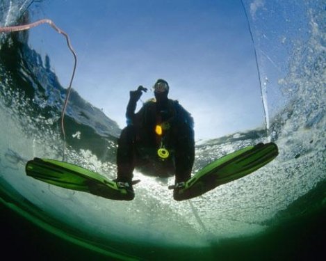 Дайвінг під льодом