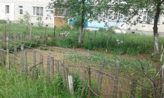 Муніципали ліквідували паркани на Писаревського