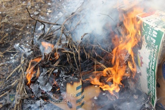 Ковельські поліцейські спалили наркотики. ФОТО