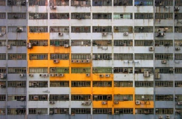 Нетрі Гонконгу. ФОТО