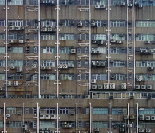 Нетрі Гонконгу. ФОТО