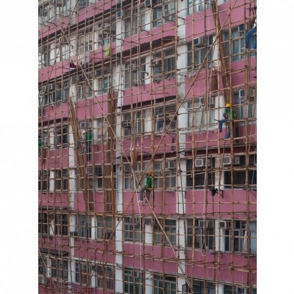 Нетрі Гонконгу. ФОТО