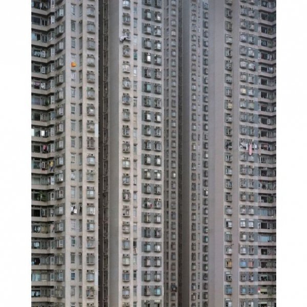 Нетрі Гонконгу. ФОТО