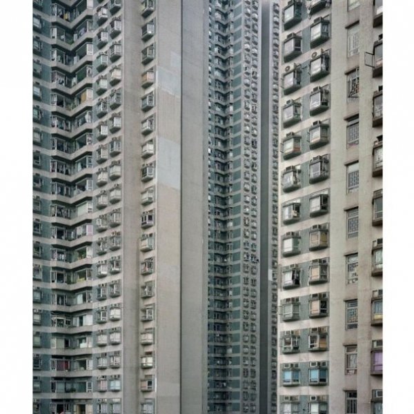 Нетрі Гонконгу. ФОТО