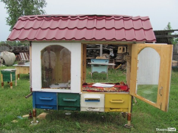 Волинський фермер спить на бджолах. ФОТО