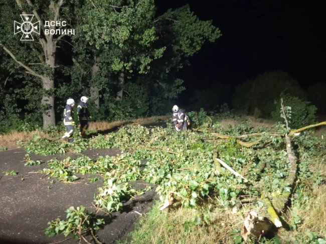 Негода на Волині: дерево впало на дорогу та перегородило рух транспорту