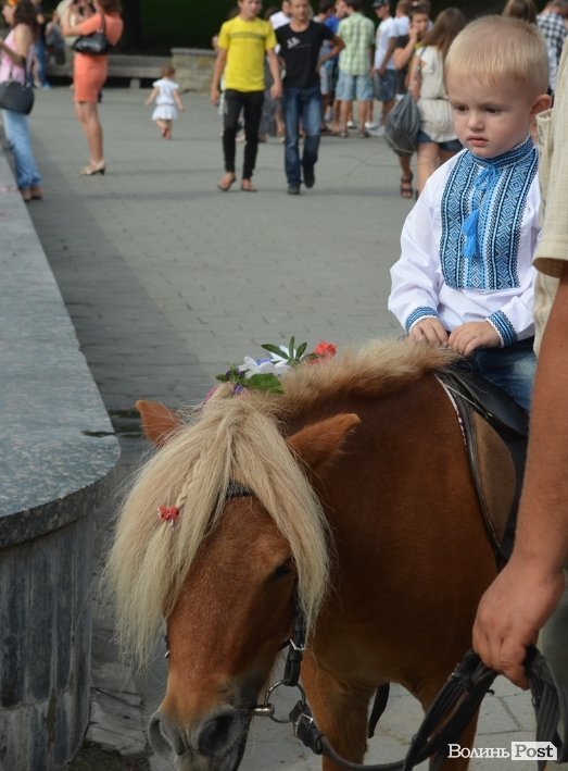 Як Луцьк гуляв День Незалежності. ФОТО 
