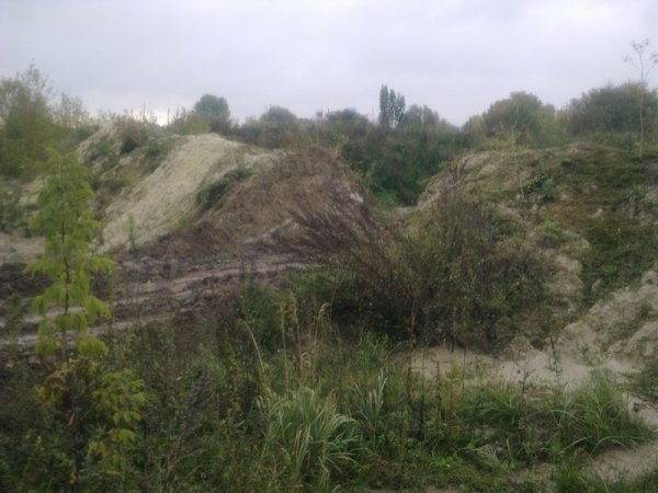 НП на Волині: нечистоти з відстійника затопили територію. ФОТО