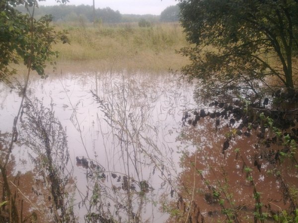 НП на Волині: нечистоти з відстійника затопили територію. ФОТО