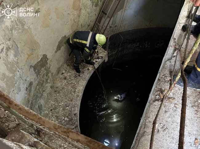 На Волині рятувальники дістали собаку із каналізаційної ями