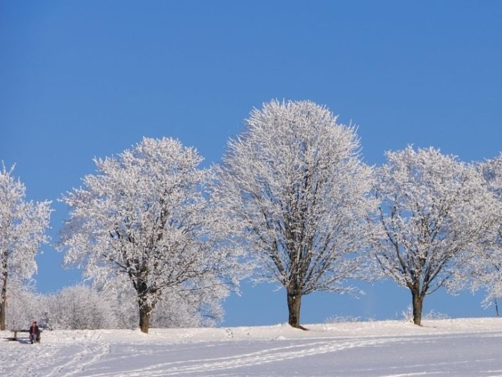Якою буде погода у Луцьку та на Волині у неділю, 15 лютого