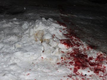 Кривава перестрілка на Житомирщині