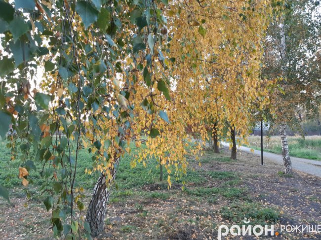 Місто на Волині восени: жовто-багряна краса. ФОТО