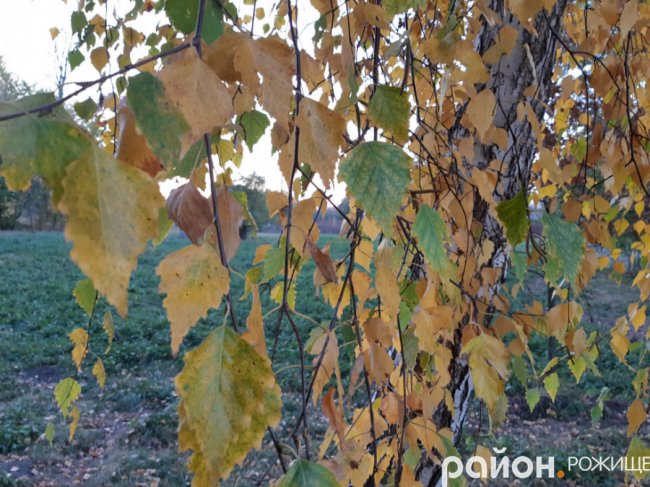 Місто на Волині восени: жовто-багряна краса. ФОТО