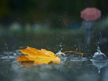 Погода на завтра, 4 жовтня, у Луцьку та Волинській області