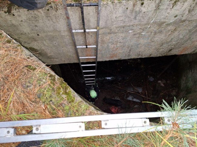 Бійці ДСНС на Волині врятували пса, який провалився в 5-метрову яму