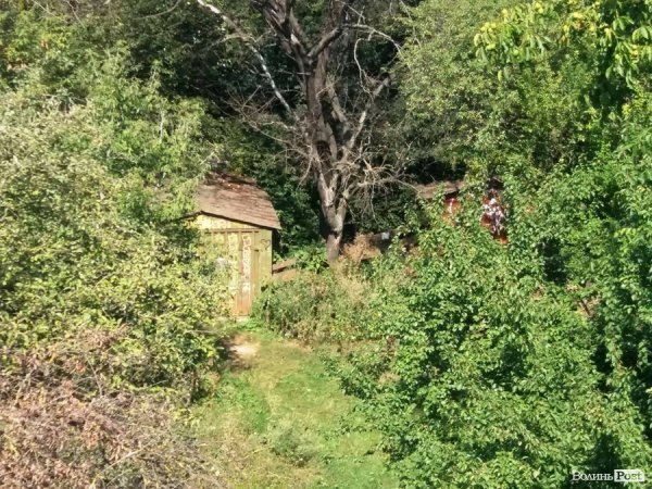 У Привокзальному мікрорайоні Луцька зламають хліви, які простояли 25 років. ФОТО