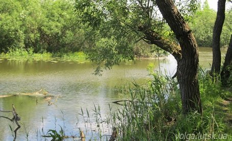 Сміття після відпочивальників вивозять підводами