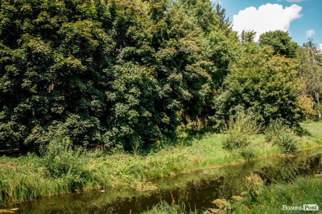 Літо у луцькому парку. ФОТО