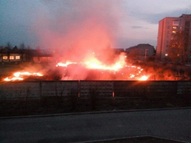 У Луцьку біля університету горіла суха трава. ФОТО
