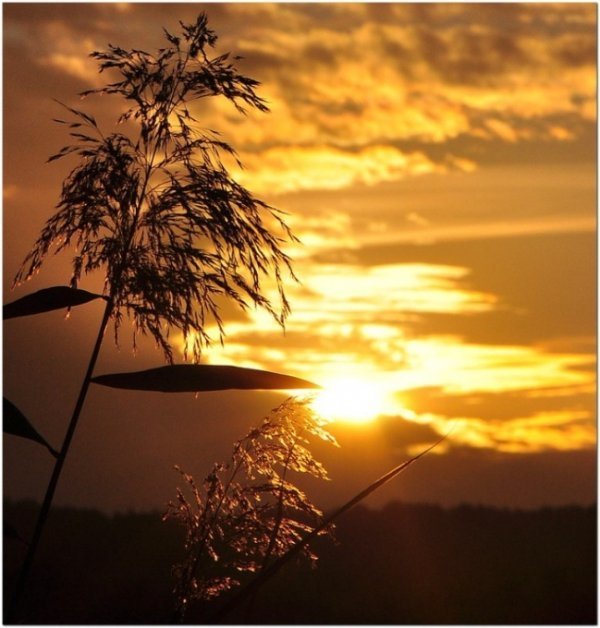Фотовиставка Павла Березюка