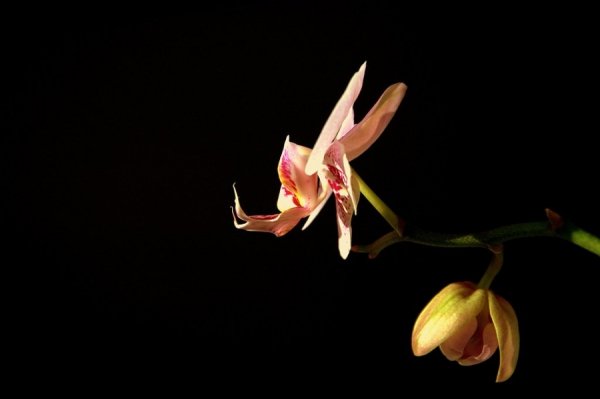 Фотовиставка Павла Березюка