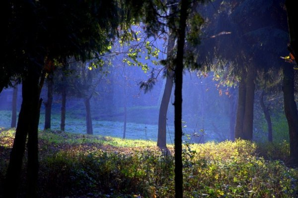 Фотовиставка Павла Березюка