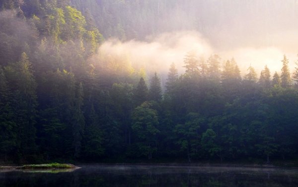 Фотовиставка Павла Березюка