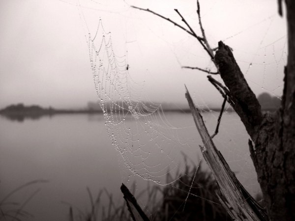 Фотовиставка Павла Березюка