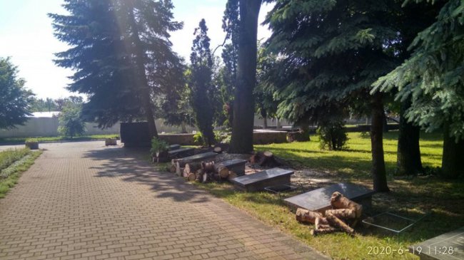 У місті на Волині під час буревію з корінням повиривало дерева 