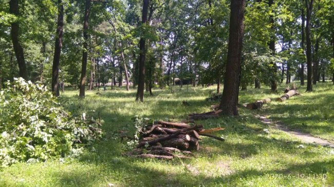 У місті на Волині під час буревію з корінням повиривало дерева 