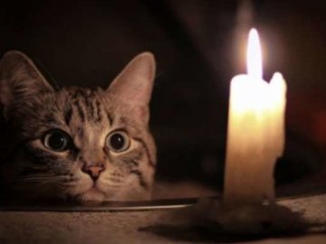 У Луцьку від світла відключать декілька будинків: перелік