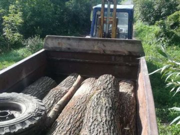 Волинські лісівники зловили двох чоловіків, які перевозили цінну деревину. ФОТО