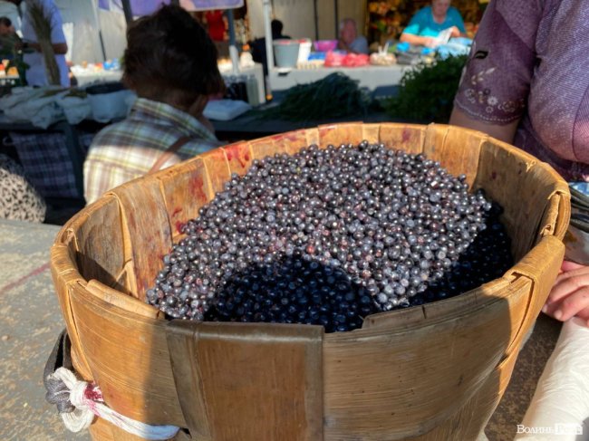 На луцькому ринку з'явилися перші лісові ягоди: почім продають