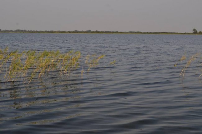 Краса Пісочного озера на знімках місцевого фотографа