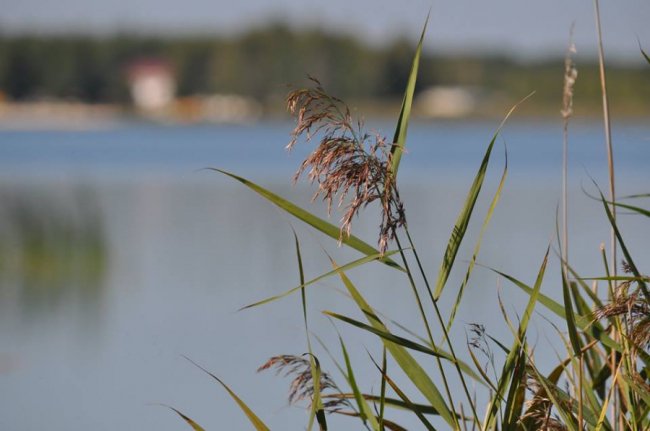 Краса Пісочного озера на знімках місцевого фотографа