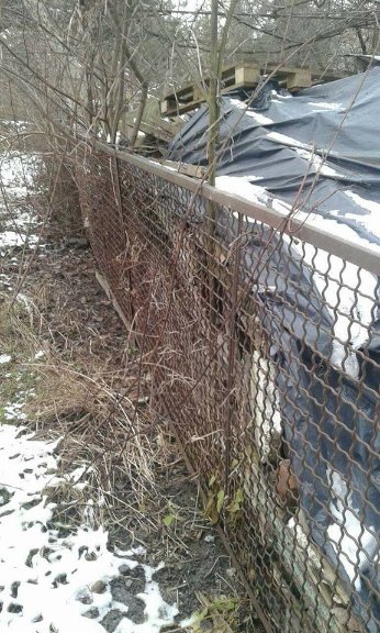 Лучанин завалив мотлохом двір. ФОТО