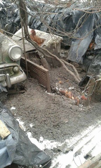 Лучанин завалив мотлохом двір. ФОТО