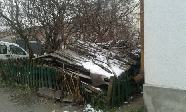 Лучанин завалив мотлохом двір. ФОТО