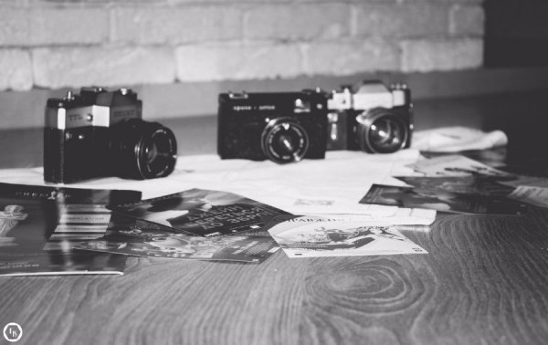 Lutsk Night Cinema відзначив ХХ-й кіноперегляд. ФОТО