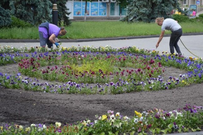 У Ковелі підприємців запрошують долучитись до озеленення міста. ФОТО