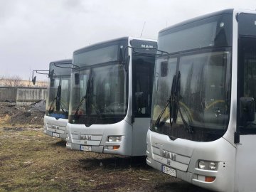 Луцьком курсуватимуть 7 новеньких автобусів з Euro5
